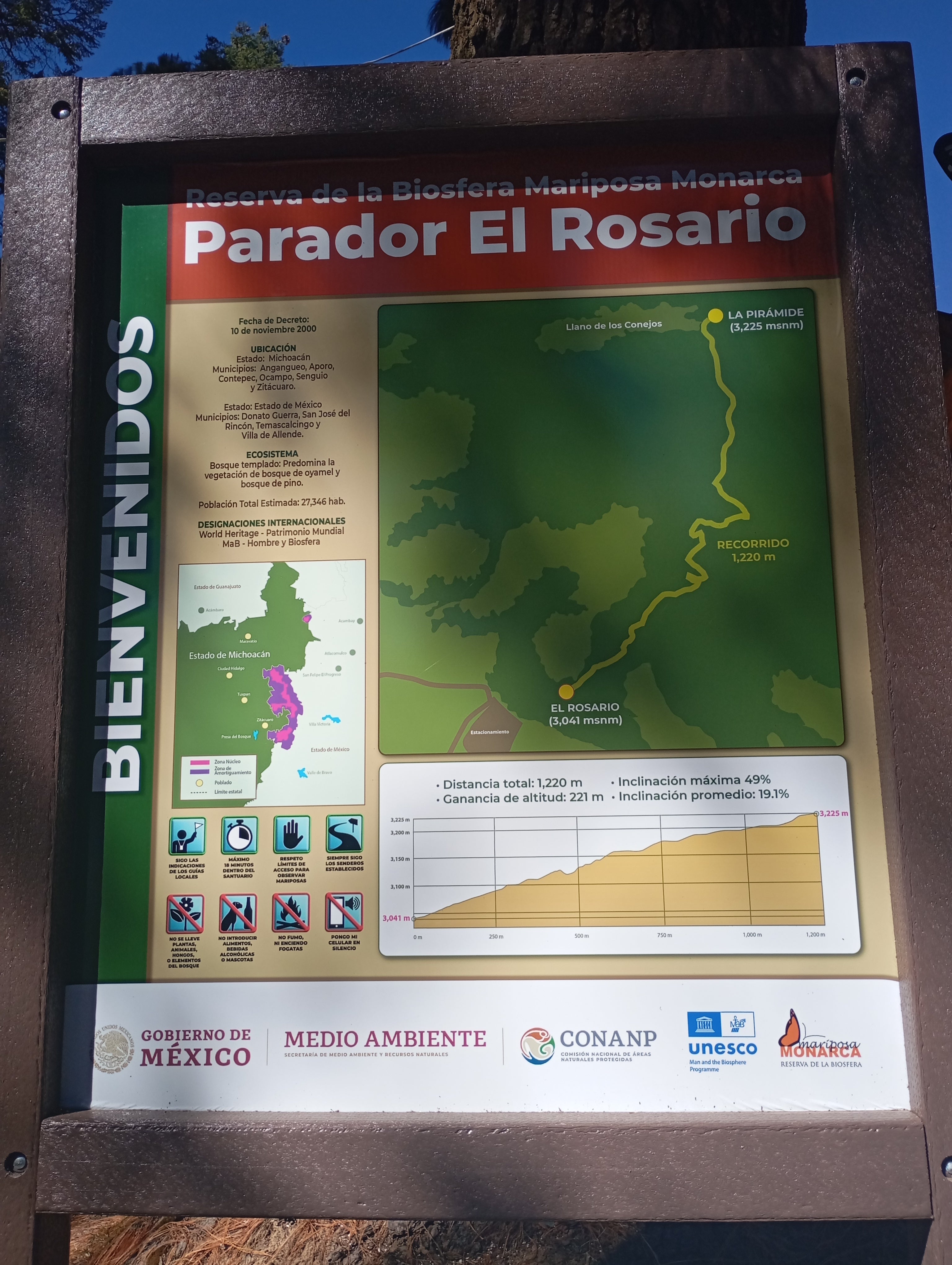 Visit to the El Rosario Monarch Butterfly Sanctuary