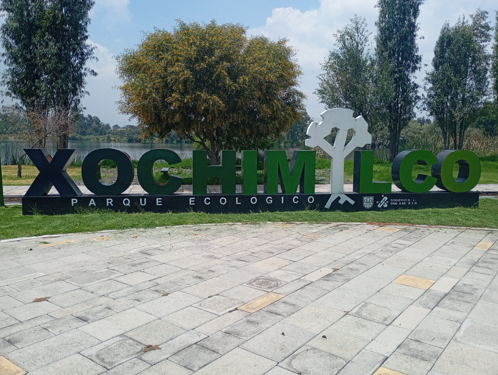 Private Mexico City Tour: Historic Center, Coyoacán, UNAM & Xochimilco Trajinera