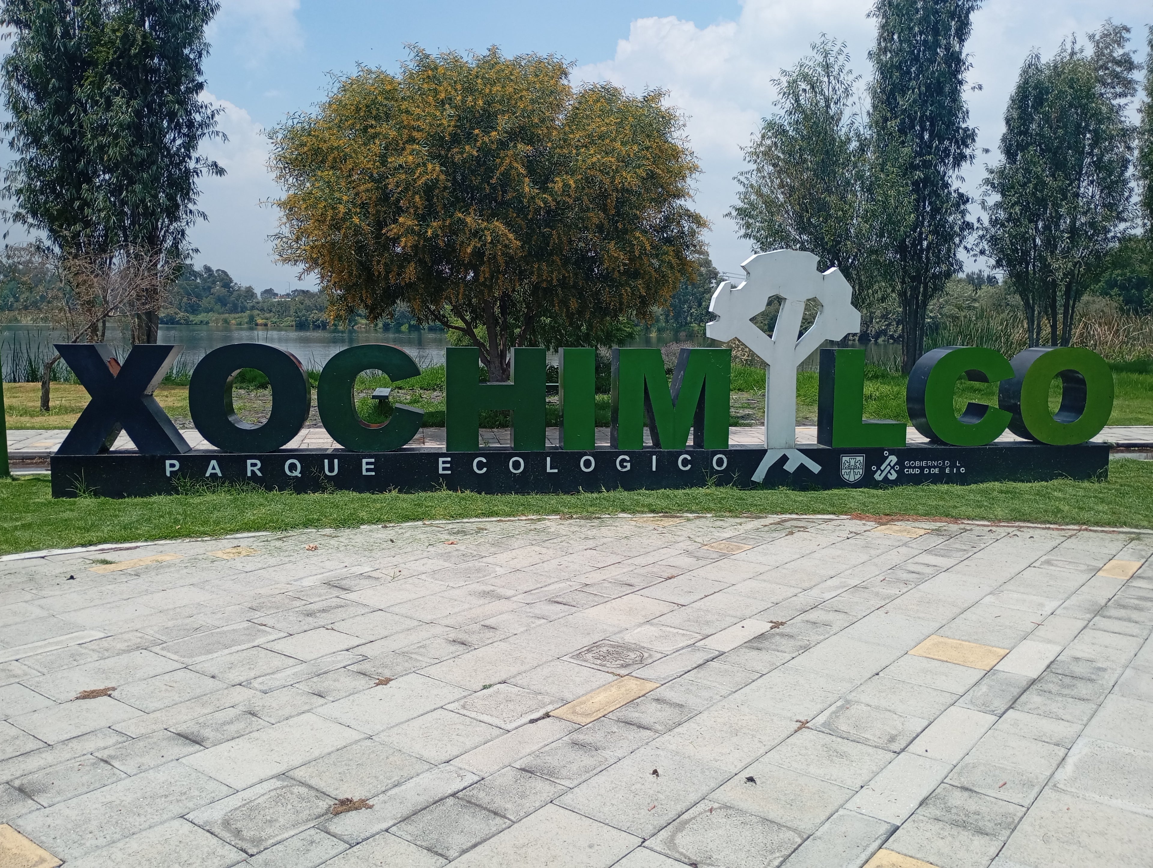 Private Mexico City Tour: Historic Center, Coyoacán, UNAM & Xochimilco Trajinera