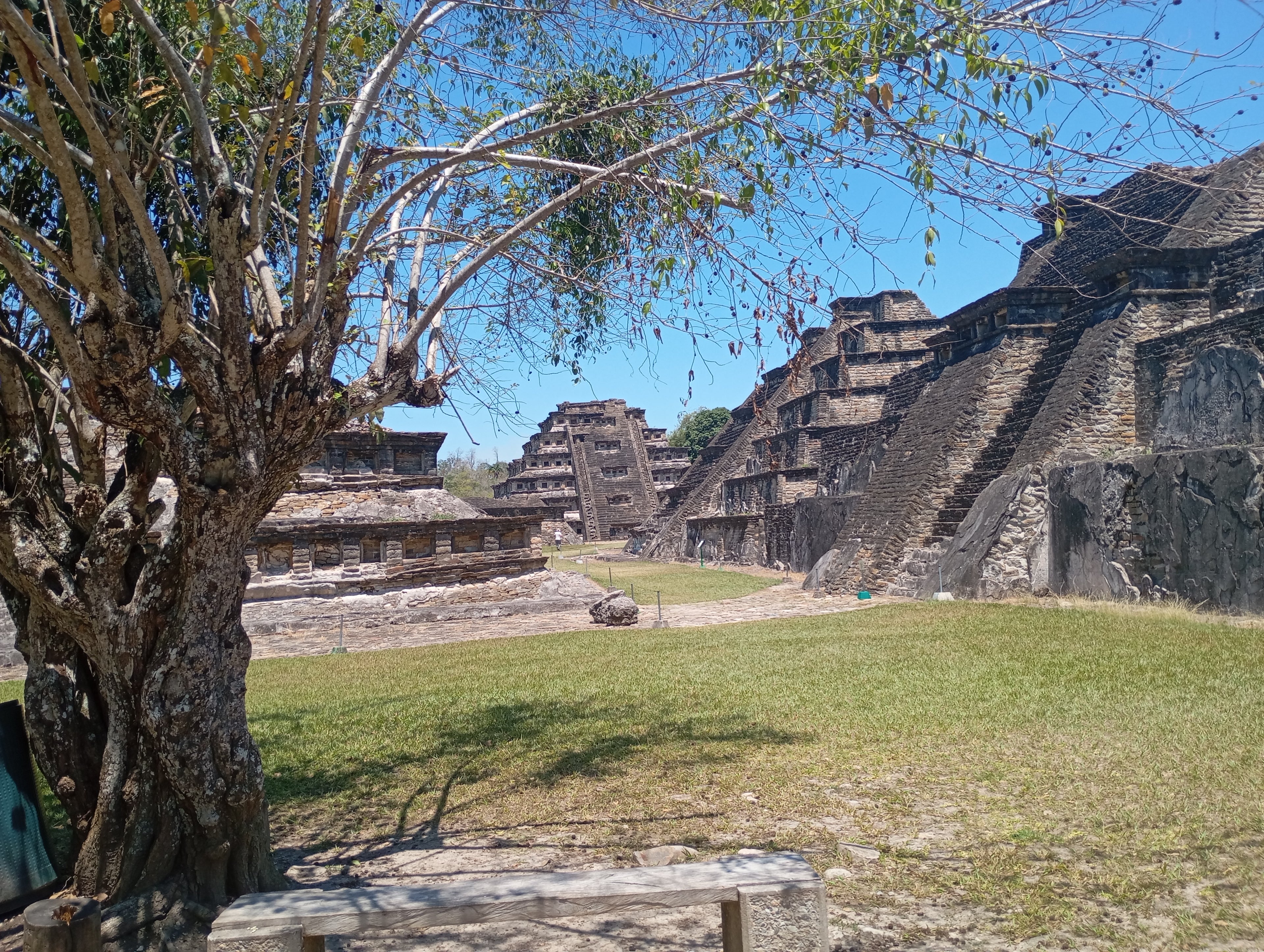 Explore the Ancient Wonders of El Tajín – Private Day Tour