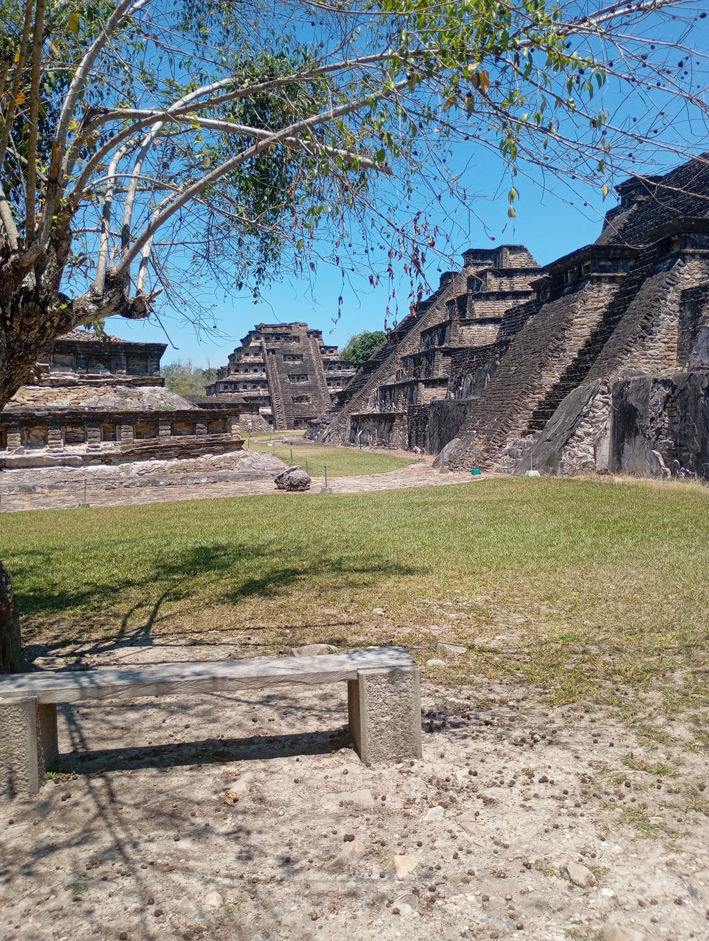 Explore the Ancient Wonders of El Tajín – Private Day Tour