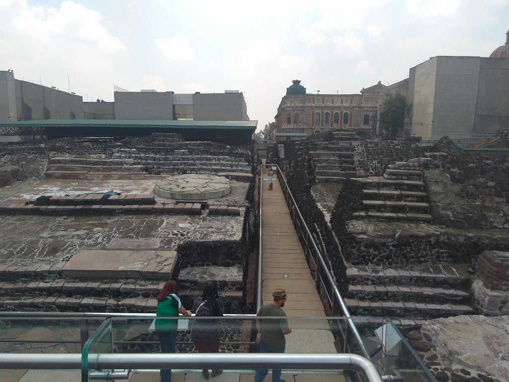 Private Mexico City Tour: Historic Center, Coyoacán, UNAM & Xochimilco Trajinera