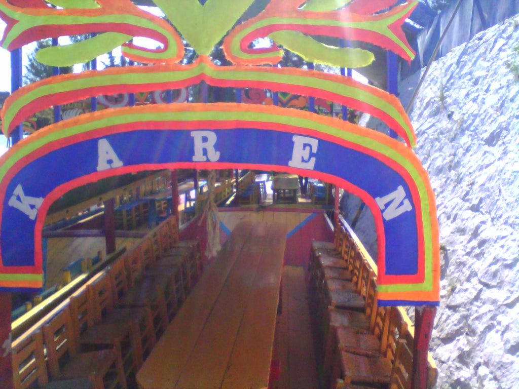 Private Mexico City Tour: Historic Center, Coyoacán, UNAM & Xochimilco Trajinera